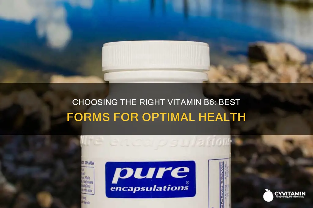 what is the best type of vitamin b6 to take