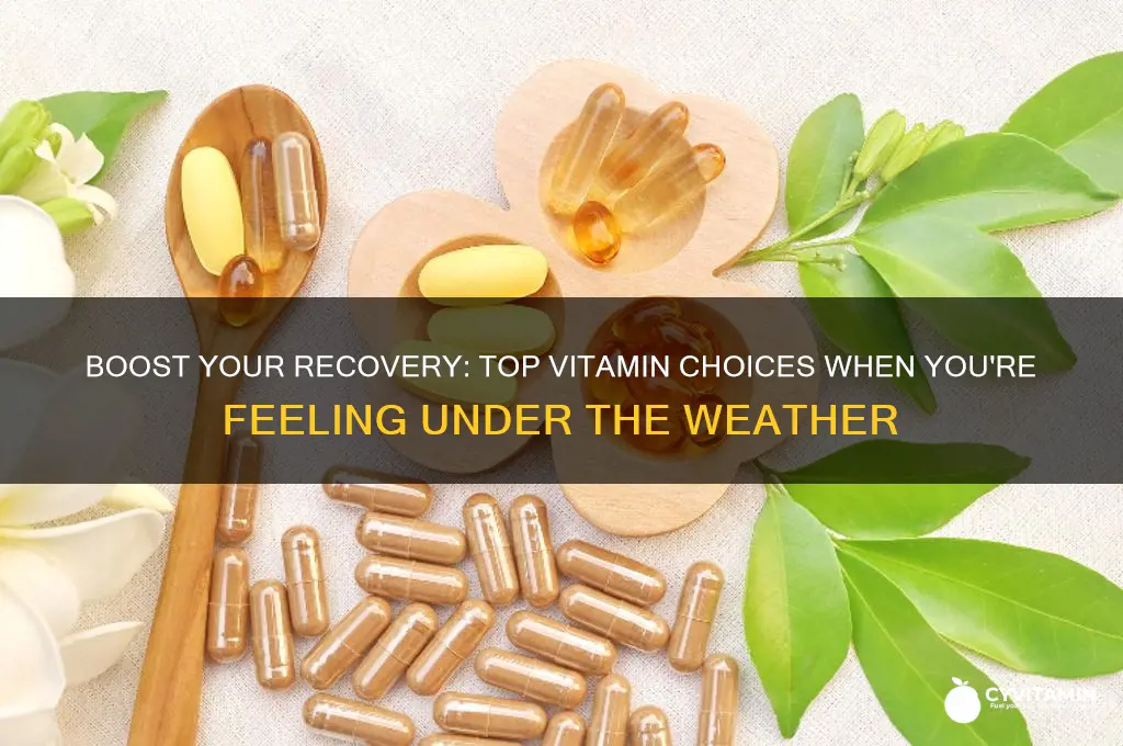 what is the best type of vitamins when sick