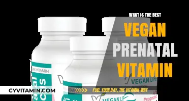 Top Vegan Prenatal Vitamins for a Healthy Pregnancy Journey
