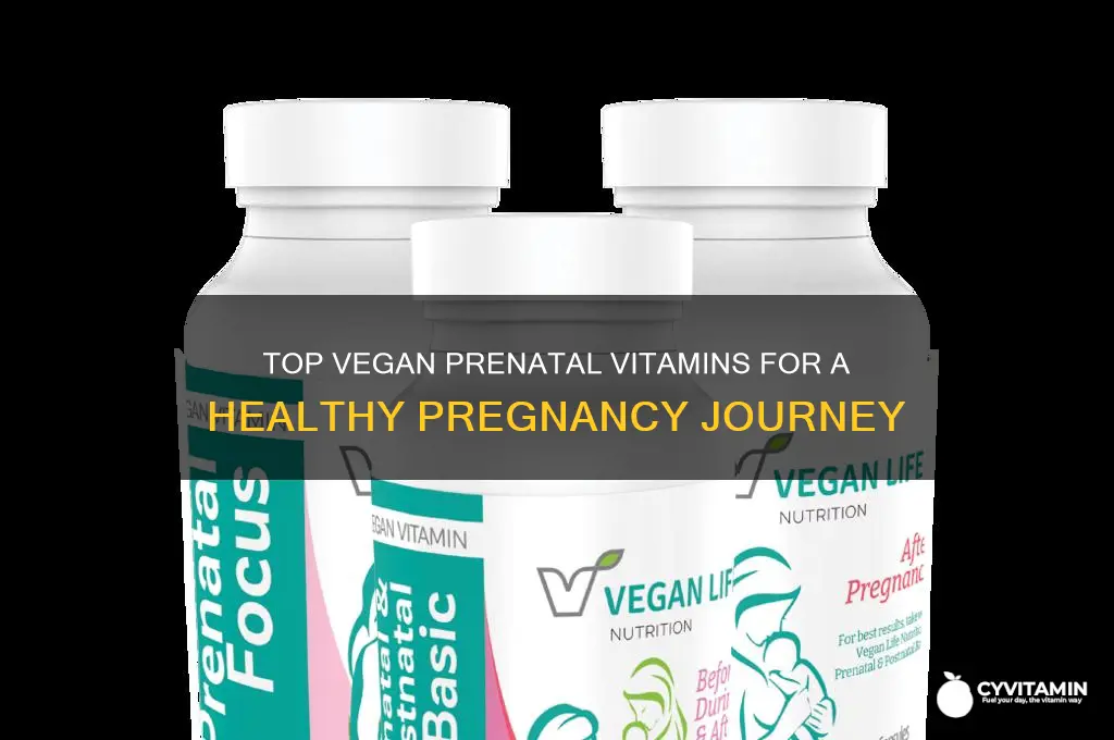 what is the best vegan prenatal vitamin