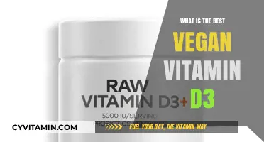 Top Vegan Vitamin D3 Supplements for Optimal Health and Wellness