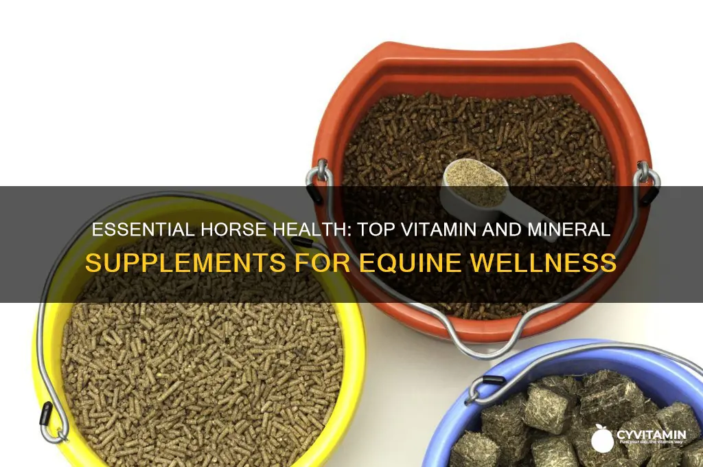 what is the best vitamin and mineral supplement for horses