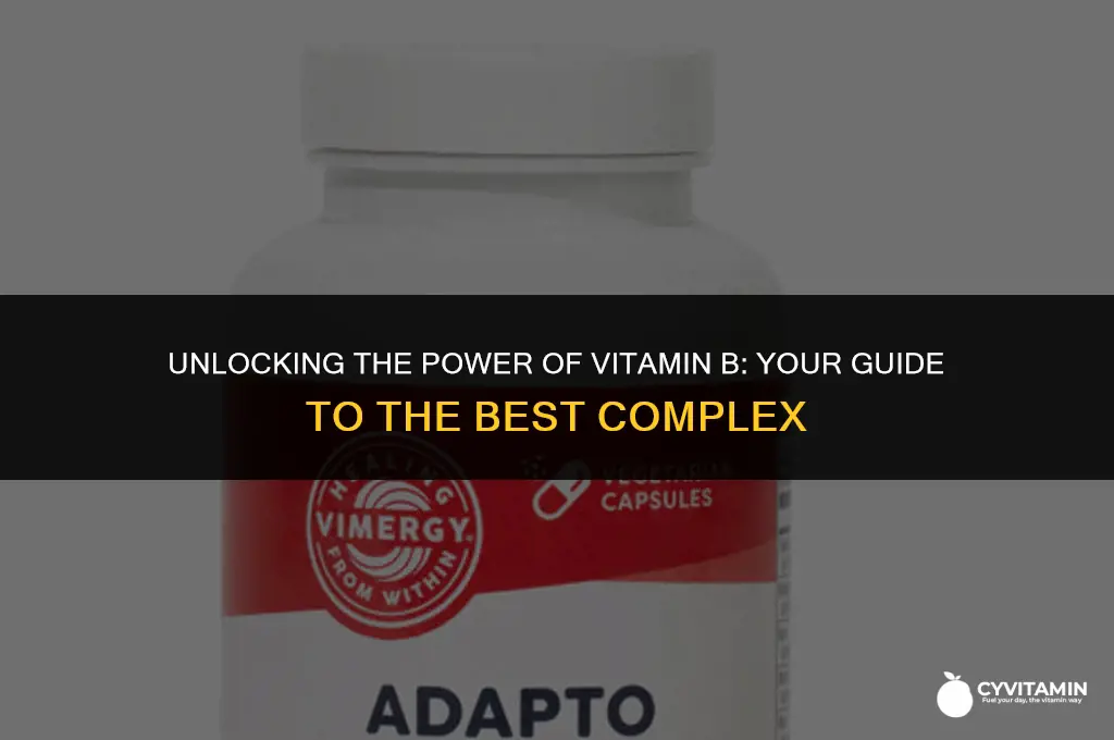 what is the best vitamin b complex