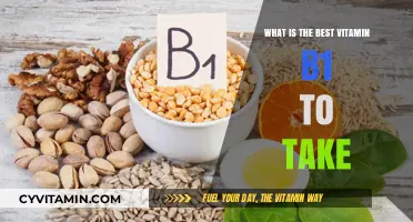 Top Vitamin B1 Supplements: Choosing the Best for Optimal Health