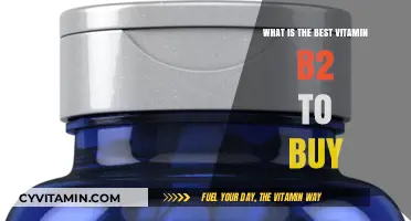 Top Vitamin B2 Supplements: Best Options to Buy for Optimal Health