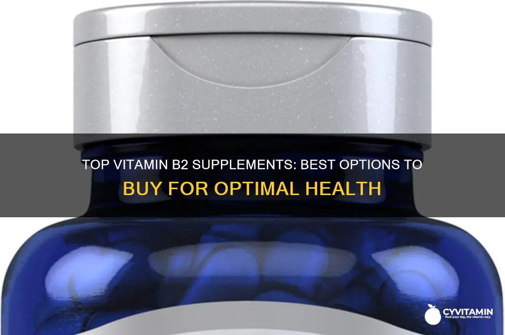 what is the best vitamin b2 to buy