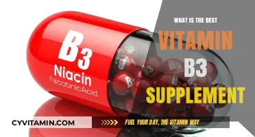 Top Vitamin B3 Supplements: Benefits, Dosage, and Best Brands