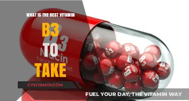 Top Vitamin B3 Supplements: Choosing the Best Option for You