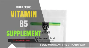 Discover the Top Vitamin B5 Supplement for Optimal Health Benefits