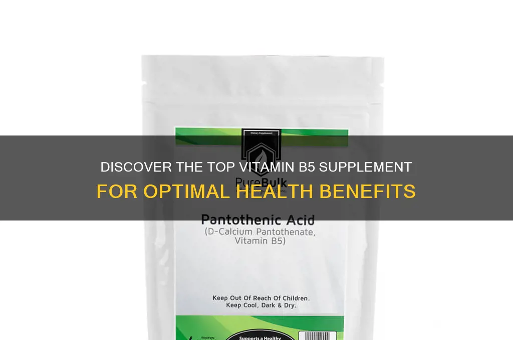what is the best vitamin b5 supplement
