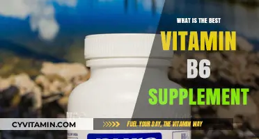 Top Vitamin B6 Supplements: Benefits, Dosage, and Best Brands