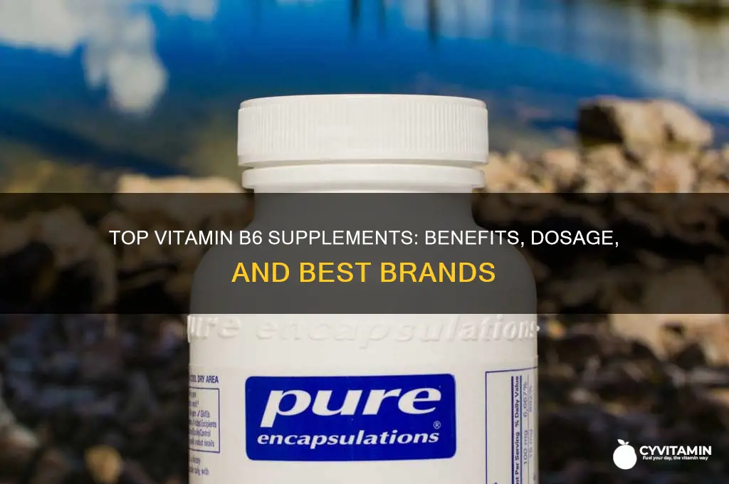 what is the best vitamin b6 supplement