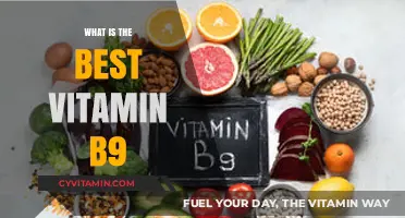 Unlocking the Power of Vitamin B9: Discover the Ultimate Choice