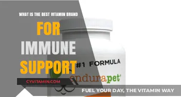 Top Vitamin Brands for Immune Support: A Comprehensive Guide