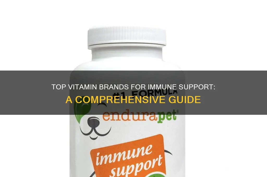 what is the best vitamin brand for immune support