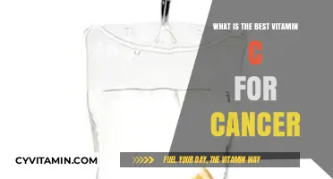 Top Vitamin C Supplements for Cancer Support and Immune Health