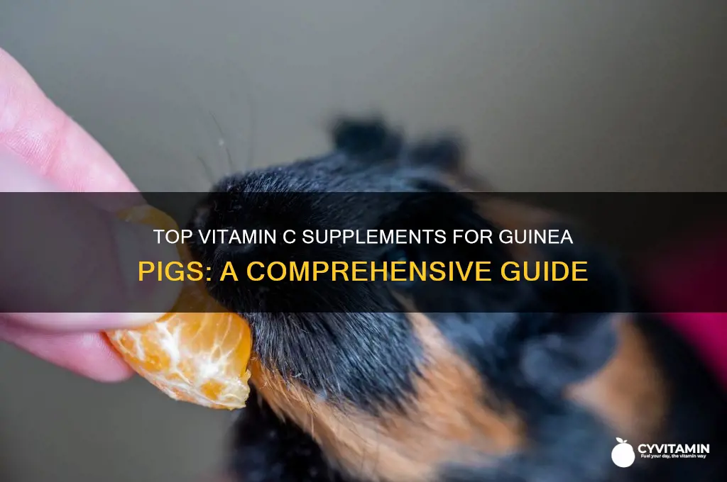 what is the best vitamin c for guinea pigs