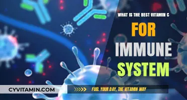 Boost Your Immunity: Discover the Best Vitamin C for Optimal Health