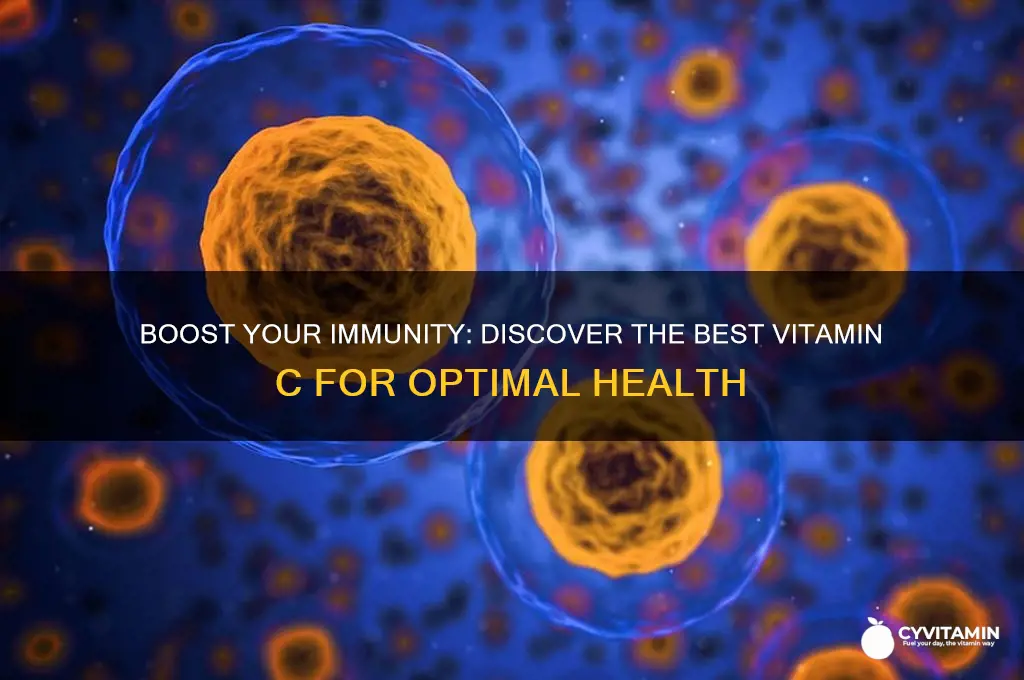 what is the best vitamin c for immune system