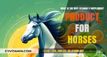 Top Vitamin C Supplements for Horses: Boosting Equine Health and Immunity