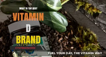Unlocking the Best Vitamin D Brand: Your Ultimate Guide to Optimal Health