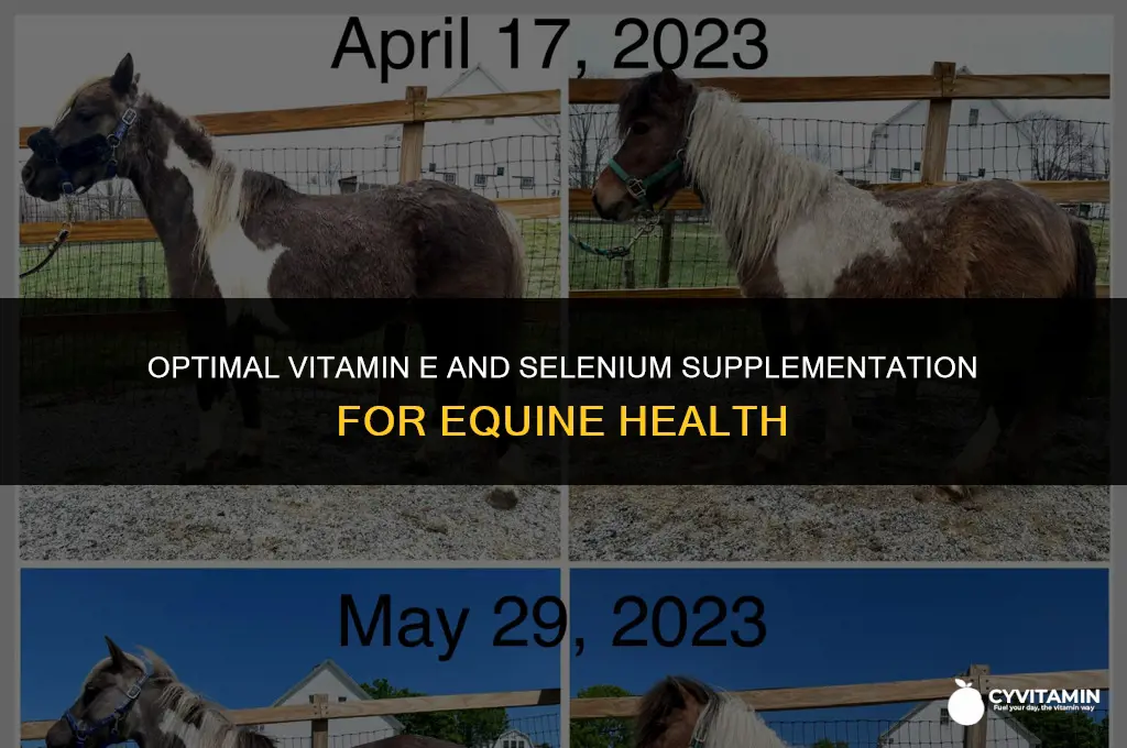 what is the best vitamin e and selenium for horses