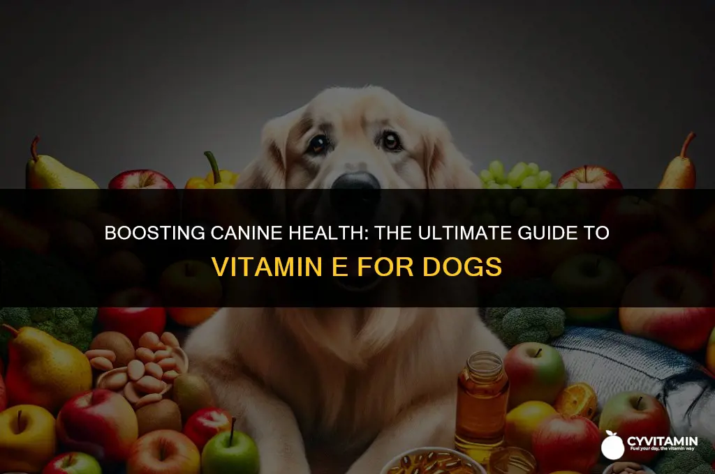 what is the best vitamin e for dogs