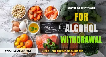 Navigating Recovery: The Essential Vitamin Guide for Alcohol Withdrawal