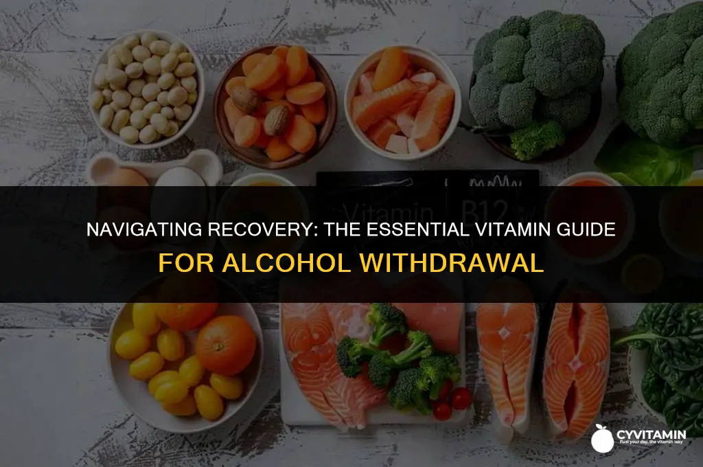 what is the best vitamin for alcohol withdrawal