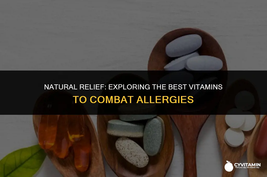 what is the best vitamin for allergies