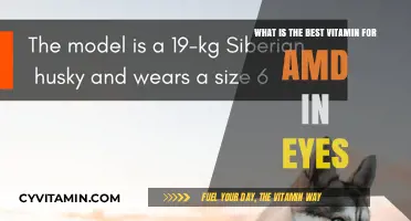 Essential Vitamins to Safeguard Your Vision Against AMD