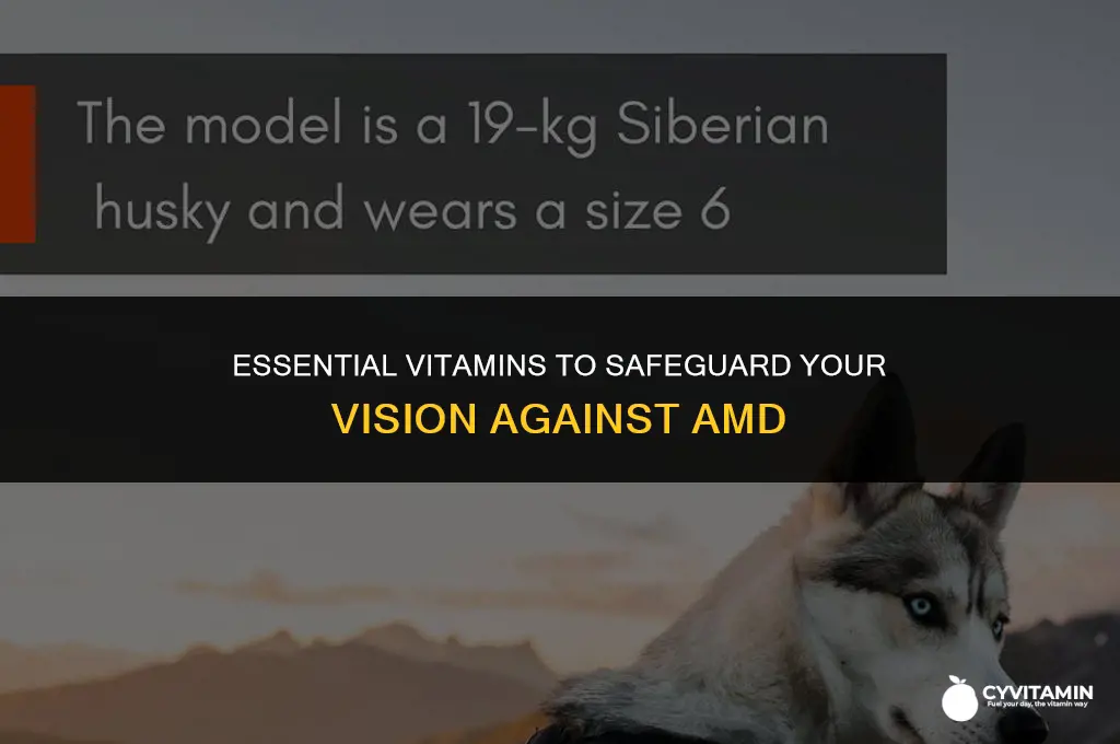 what is the best vitamin for amd in eyes