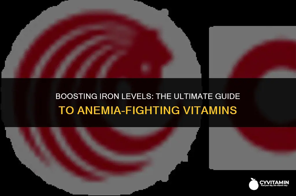 what is the best vitamin for anemia