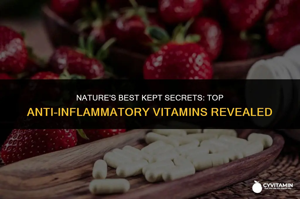 what is the best vitamin for anti-inflammatory