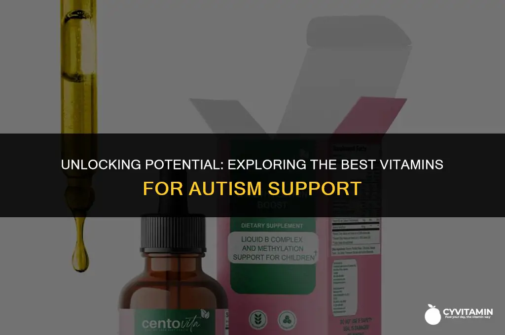 what is the best vitamin for autism