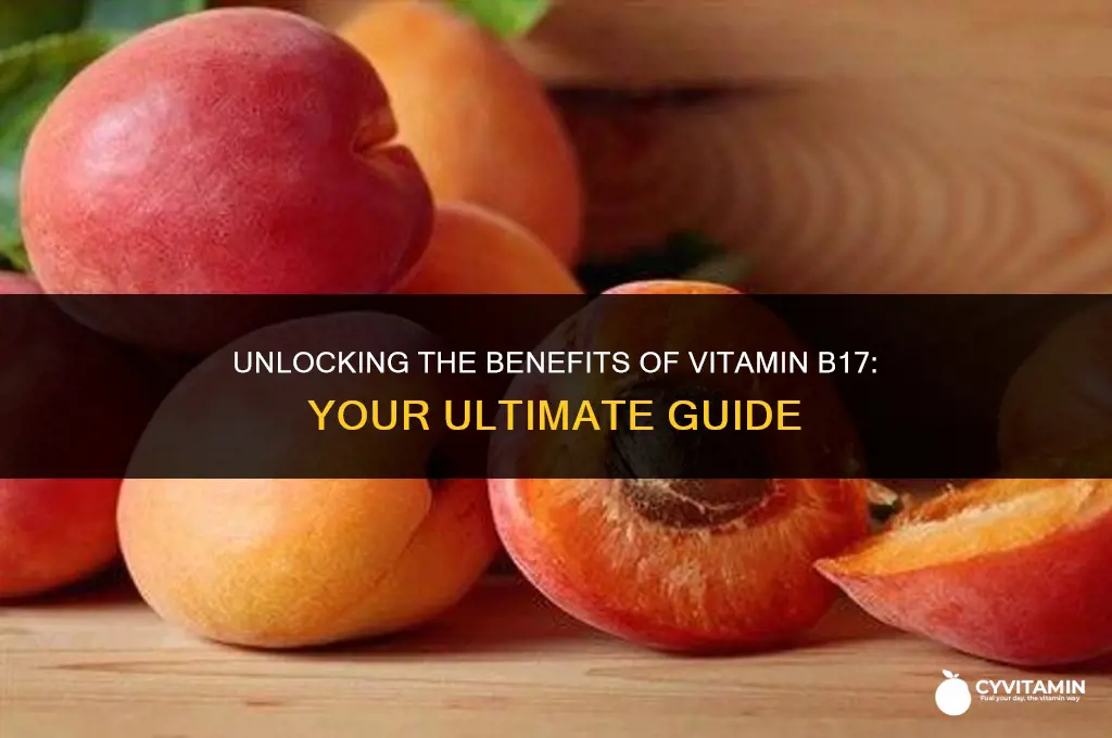 what is the best vitamin for b17