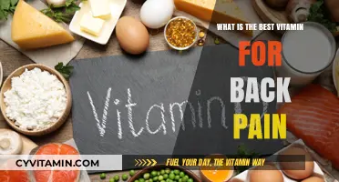 Essential Vitamins to Alleviate Back Pain Naturally