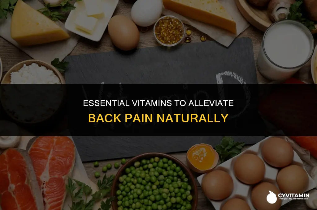 what is the best vitamin for back pain
