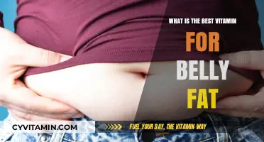 Top Vitamin for Targeting Stubborn Belly Fat: Expert Insights