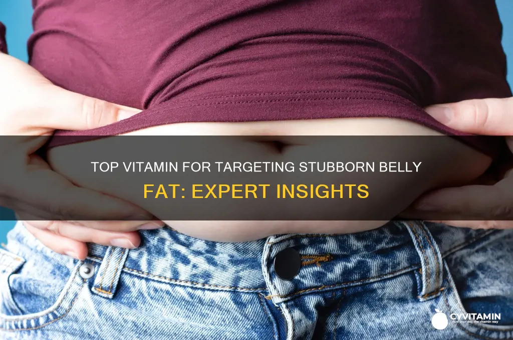 what is the best vitamin for belly fat