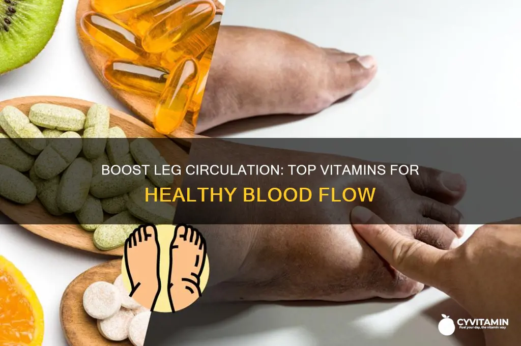 what is the best vitamin for blood circulation in legs