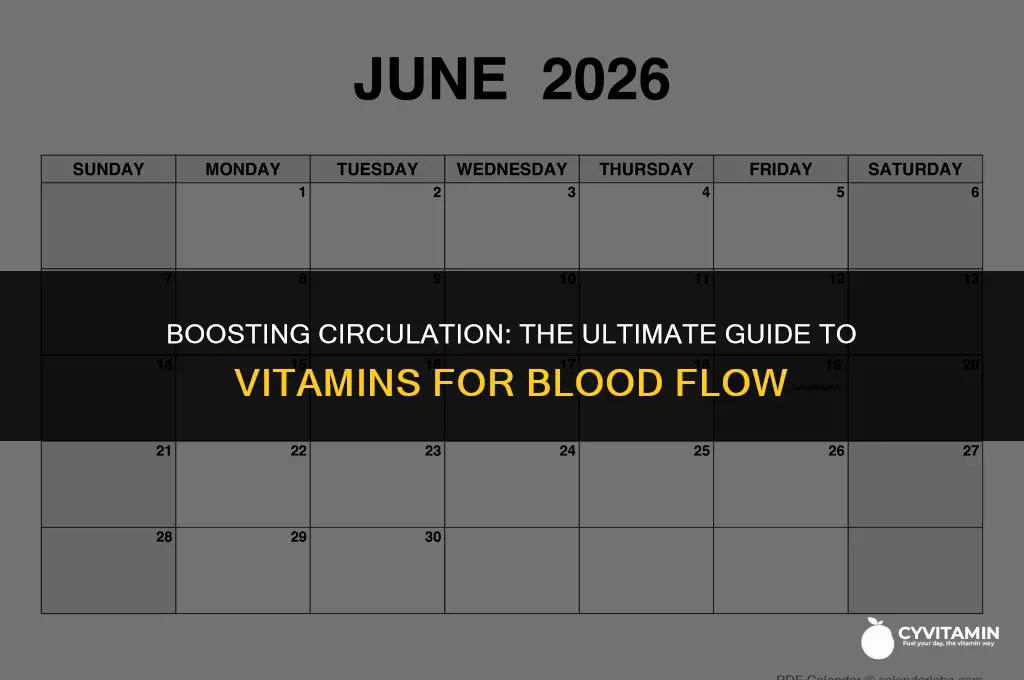 what is the best vitamin for blood flow