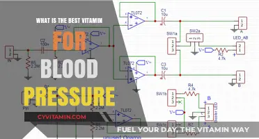 Exploring the Best Vitamins to Support Healthy Blood Pressure Levels