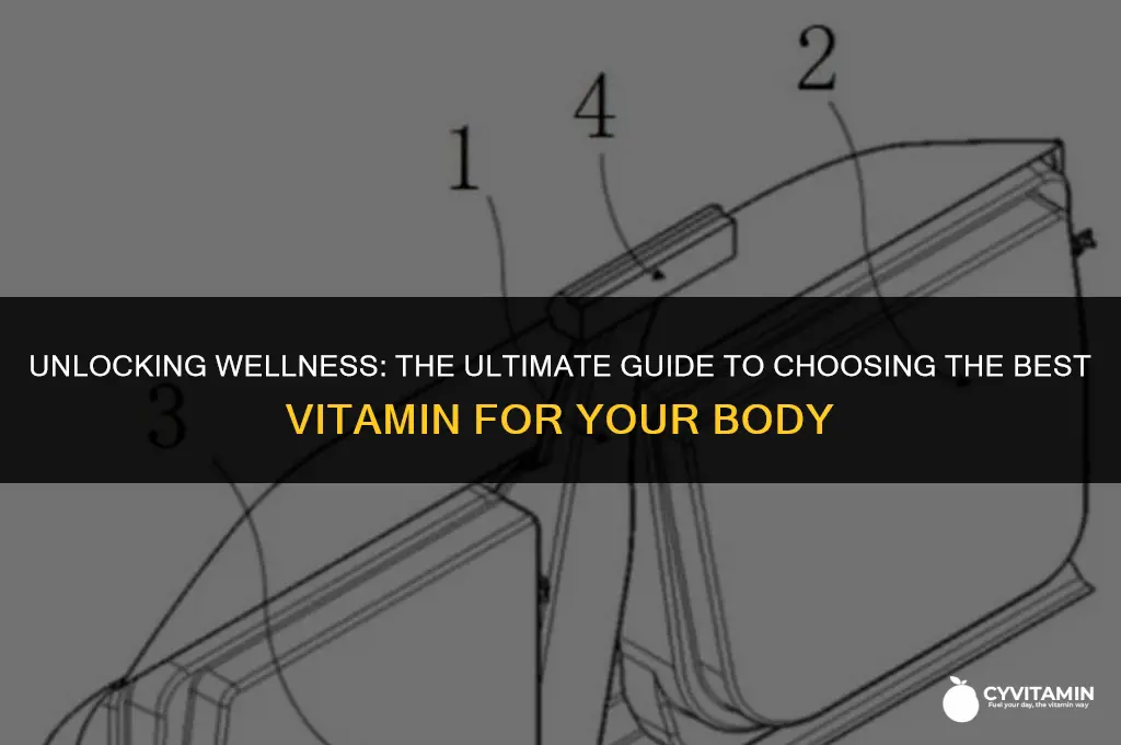what is the best vitamin for body