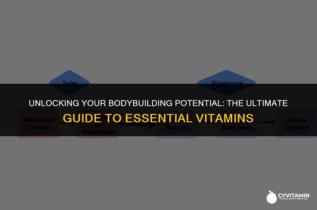 what is the best vitamin for bodybuilding