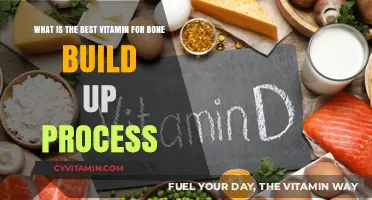 Boosting Bone Health: The Ultimate Guide to Essential Vitamins
