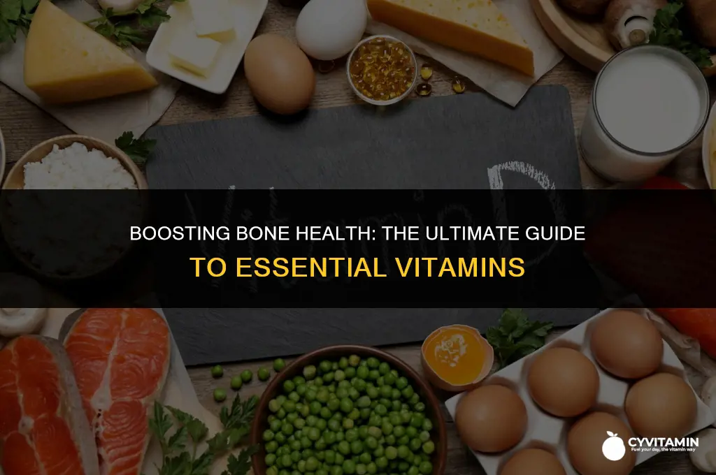 what is the best vitamin for bone build up process