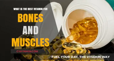 Boost Your Bone and Muscle Health: The Ultimate Vitamin Guide