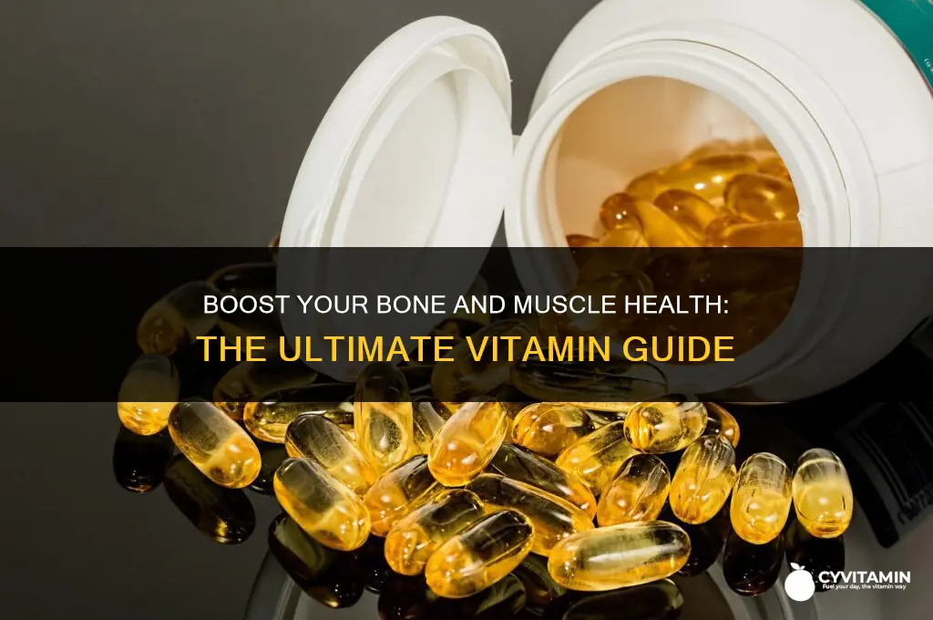 what is the best vitamin for bones and muscles