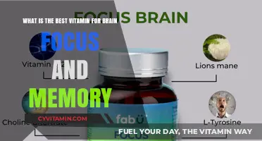 Boost Your Brain Power: The Ultimate Guide to Vitamins for Focus and Memory